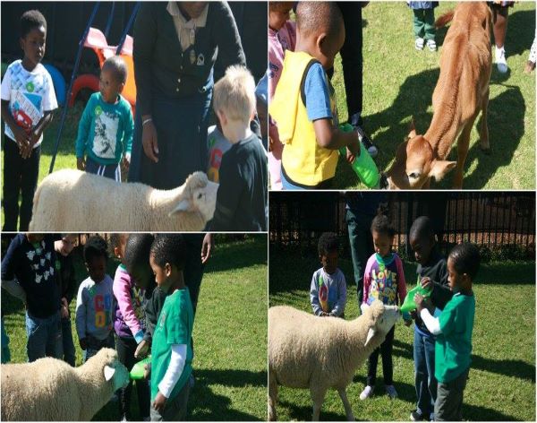 AbacusKidz Educational Shows-14